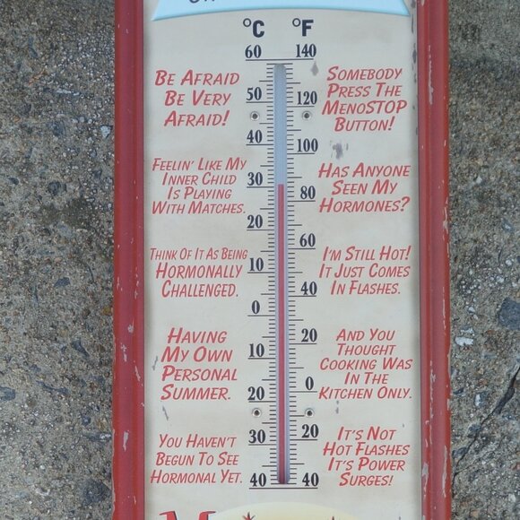 Vintage MenoPauseMeter Metal Thermometer with Mounting Holes and Screws - Picture 3 of 11